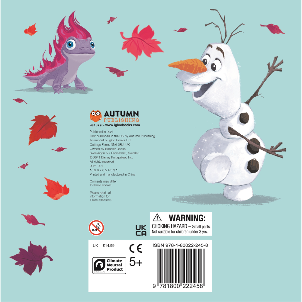 Igloo Disney Frozen Ultimate Sleepover Set Book