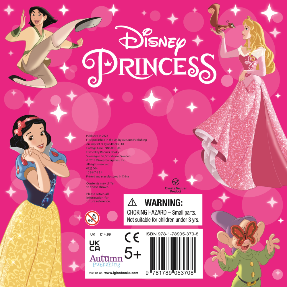 Igloo Disney Princess Mixed Craft Book & Bead Box Book