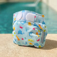 BYFT021067 Fred Nappy Boy 09lb 20lb Blue Set of 01.webp