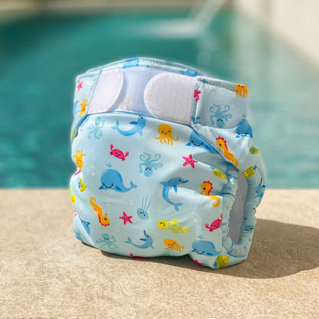 BYFT021068 Fred Nappy Boy 20lb 23lb Blue Set of 01.webp