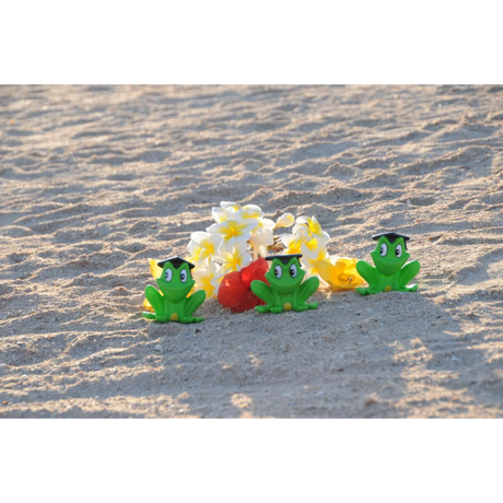 BYFT021074 Freds Squeaking Frog Set of 01 D.webp