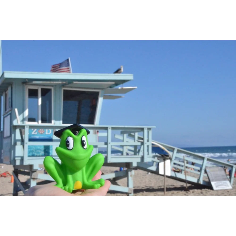 BYFT021074 Freds Squeaking Frog Set of 01 F.webp