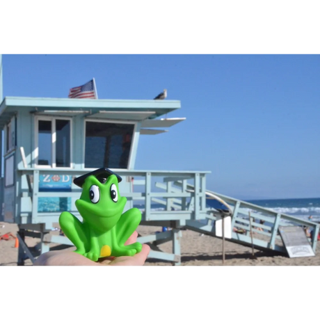 BYFT021074 Freds Squeaking Frog Set of 01 F.webp