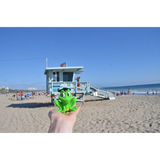 BYFT021074 Freds Squeaking Frog Set of 01 J.webp
