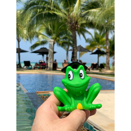 BYFT021074 Freds Squeaking Frog Set of 01 K.webp