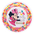 Disney Bowl Melamine Minnie