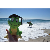 BYFT021199 Freds Plush Frog Green Set of 0 B.webp