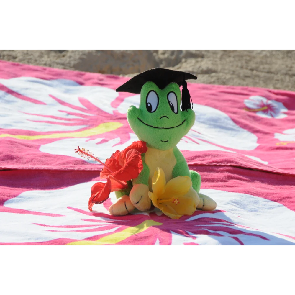 BYFT021199 Freds Plush Frog Green Set of 01 A.webp