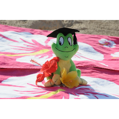 BYFT021199 Freds Plush Frog Green Set of 01 A.webp