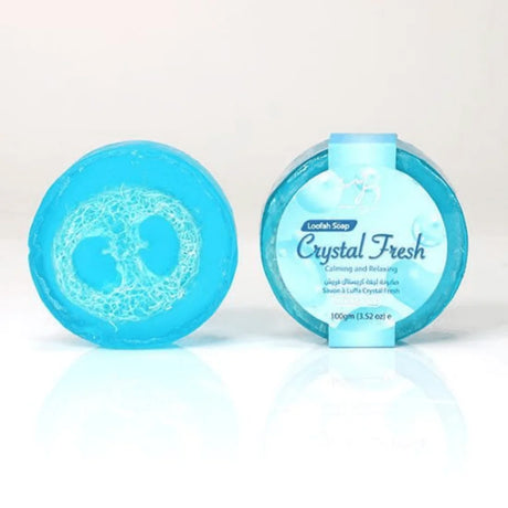 BYFT022632 Hemani WB Crystal Fresh Loofah Soap Set of 01.webp