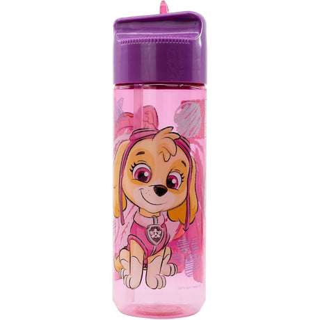 Ecozen Water Bottle 540 Ml Paw Patrol Girl Sketch Essence Set of 01