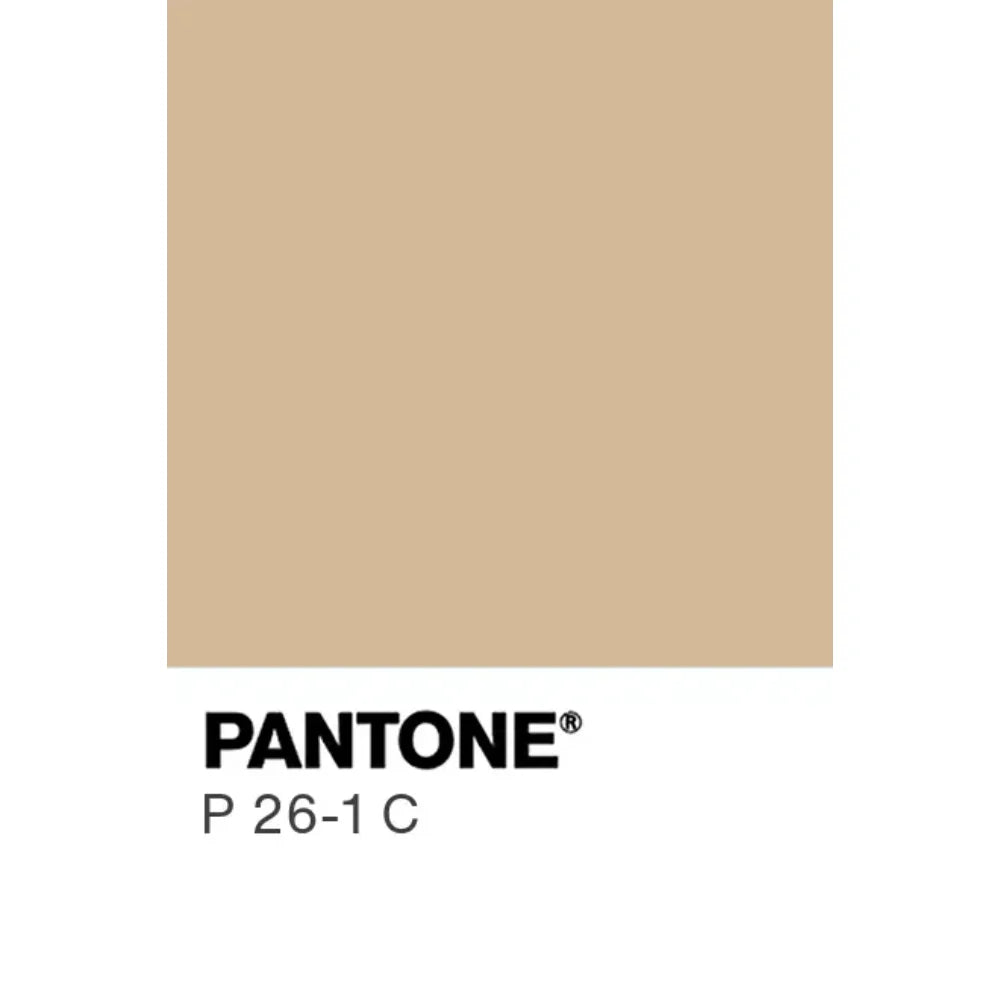 BYFT Threads Round Neck Plain T-Shirt