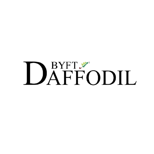 BYFT Daffodil