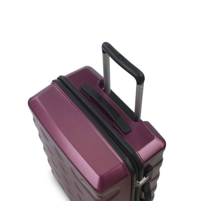 Carlton Carbon Rolling Luggage