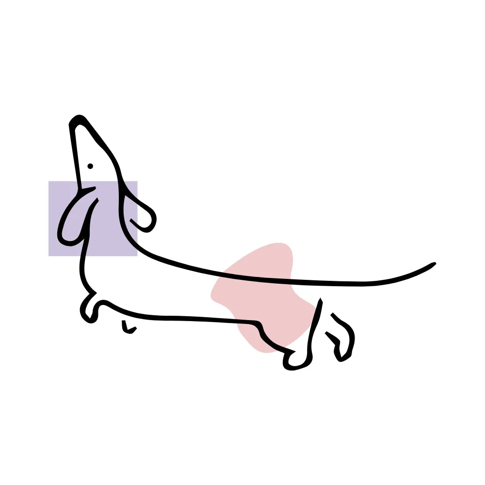 BYFT Dachshund Art Tote Bag – “The Stretch Sketch” Minimalist Dog Reusable Tote | Eco-Friendly Daily Carry Bag (Set of 1)