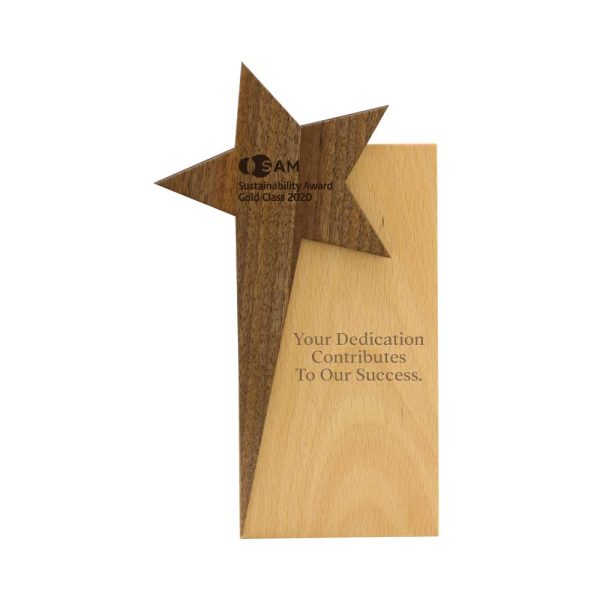 BYFT004207 Star Design Wooden Trophy Natural Wood Set of 1 B