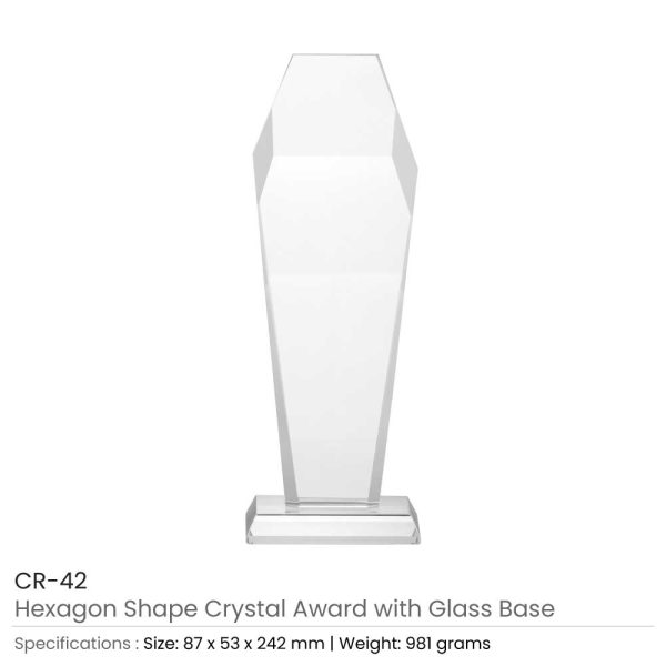 BYFT004211 Hexagon Shaped Crystal Awards Transparent Set of 1 A