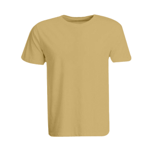 BYFT008764 BYFT Plain Beige Round Neck T Shirt Cotton 190 GSM Set of 1