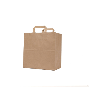 BYFT009415 Paper Bags Small 25 Pcs 100GSM 25x15x15cms Set of 1 A