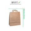 BYFT009416 Paper Bags Medium 25 Pcs 100GSM 25x33x16cms Set of 1 C