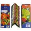 BYFT012846 Treewise Pencils Fruit Series Recycled Papaer Set of 1 10 Pcs C