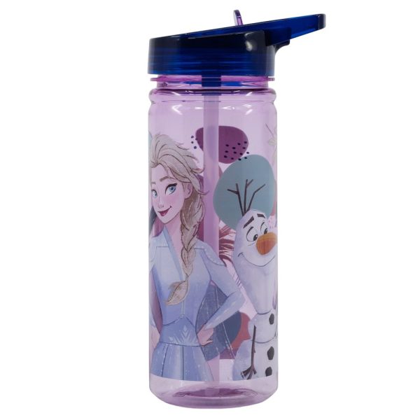 BYFT014005 DISNEY FROZEN BOTTLE ECO ZEN 580 ML