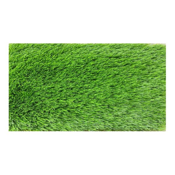 GRASS with fixing