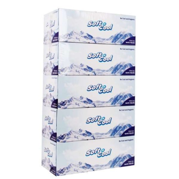 Soft N Cool Facial Tissue 100Pulls x 2Ply 5boxes