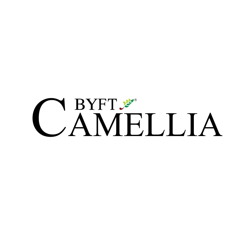 BYFT Camellia