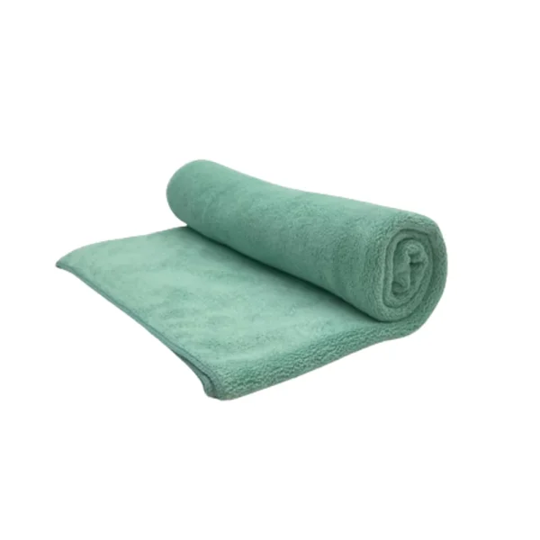 BYFT002332 SPRING Microfiber Towel Mint Green Set of 1 B