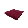 BYFT005600 DAFFODIL WASHCLOTH BURGUNDY Set of 1 A