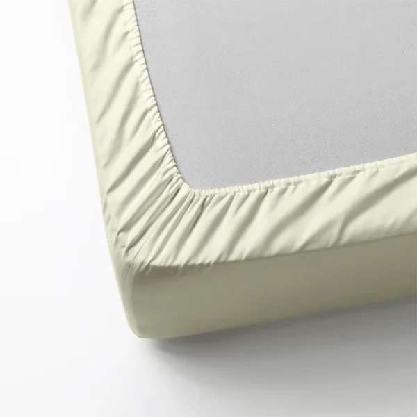 BYFT008095 BYFT TULIP Single Fitted Sheet Cream Set of 1 B