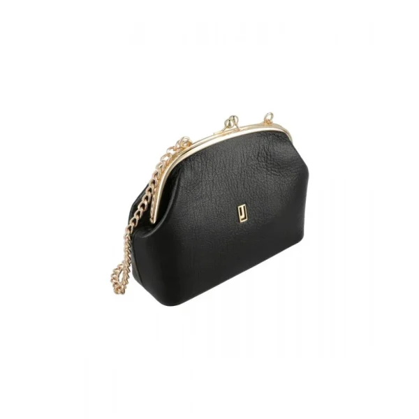 BYFT014038 FRAME BAG SMALL BLACK GOLD LEATHER IMMER D