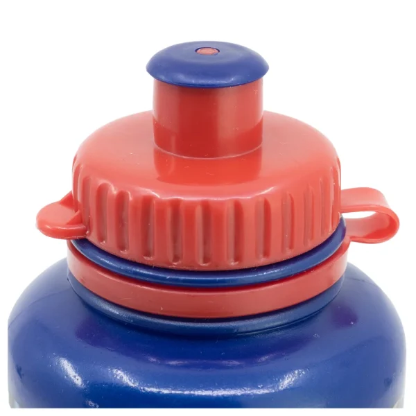 BYFT014820 Nintendo Bottle Super Mario Kart 430 Ml Multicolor Plastic Set of 01   RJ23228 A