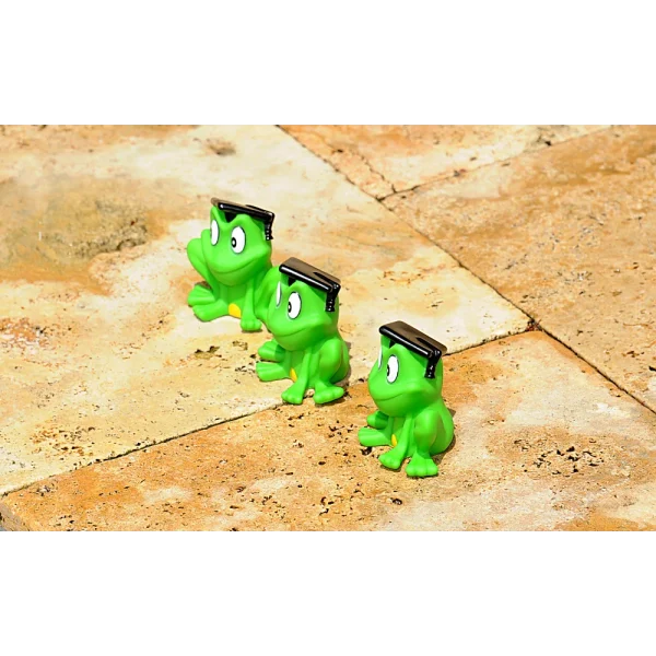 BYFT021074 Freds Squeaking Frog Set of 01 E