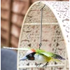 BYFT021223 La Hacienda   Metal Woodpecker in Flight Set of 01 B