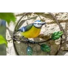 BYFT021225 La Hacienda   Perching Blue Tit Garden Wall Art Set of 01 A