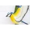 BYFT021227 La Hacienda   Tree Top Blue Tit Wall Art Large Set of 01 A