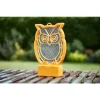 BYFT012392 STV Night Owl Rechargeable Bug Zapper C