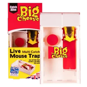 BYFT012428 STV Live Multi Catch Mouse Trap