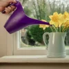 BYFT012441 STV No Spill Spouted Watering Jug   1L   Assorted Colours C