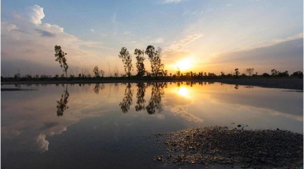 Al Qudra Lake, Dubai